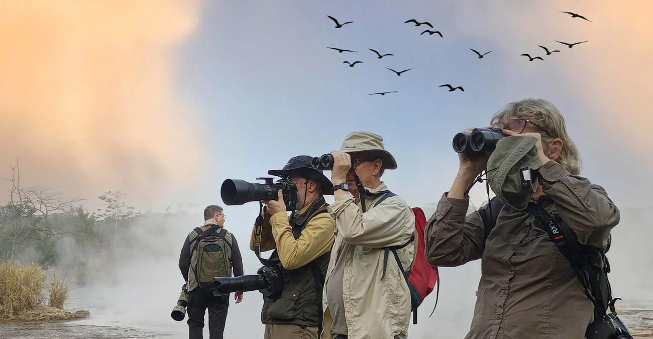 Birding Safaris