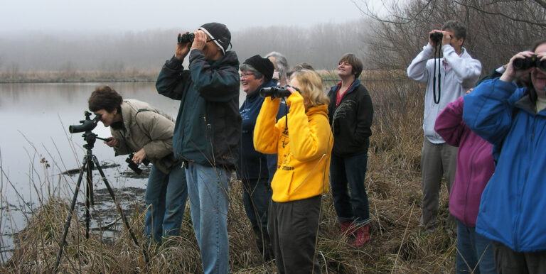 Cedar View Birders