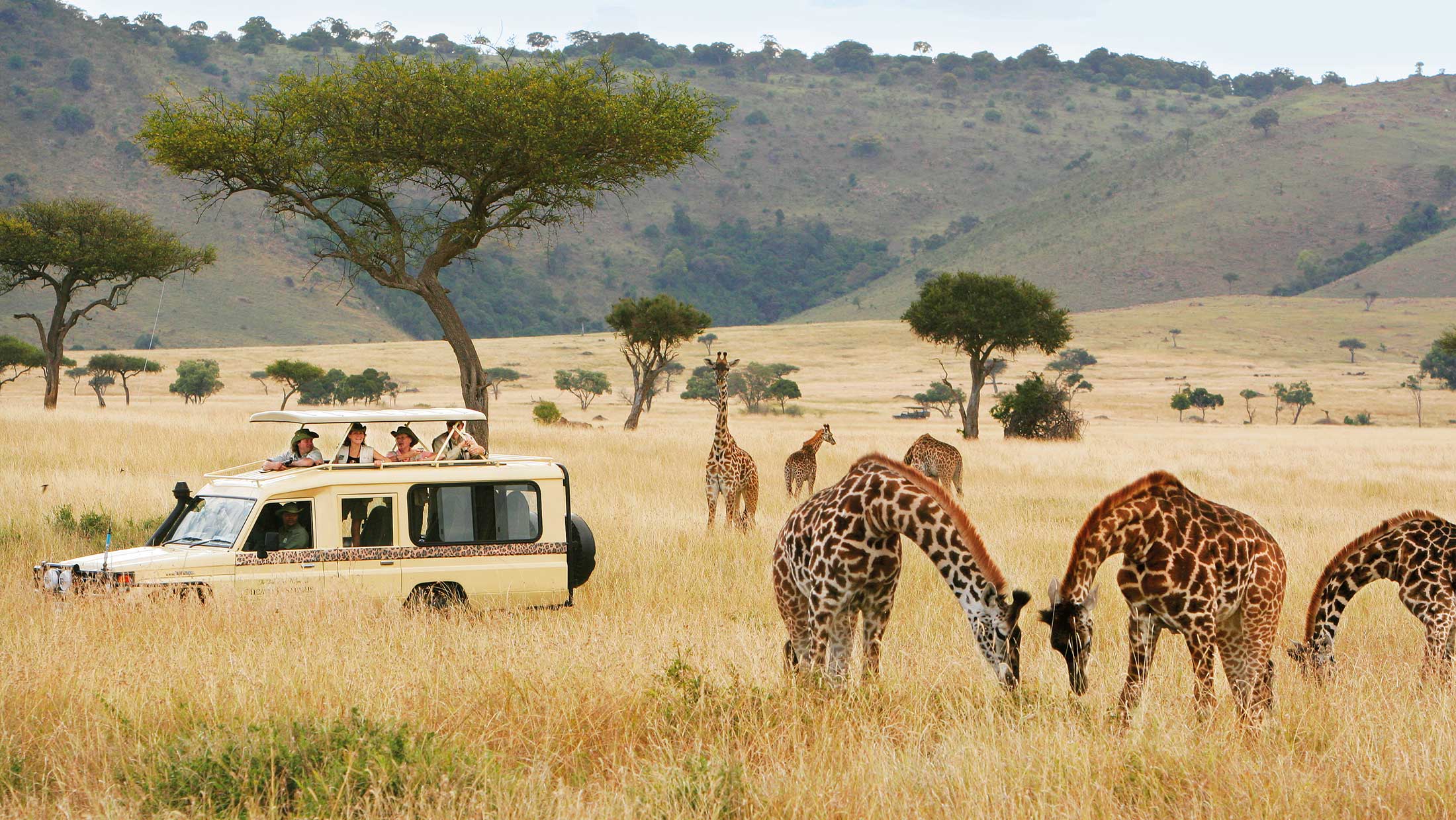 5 Days Lake Nakuru and Masai Mara park safari