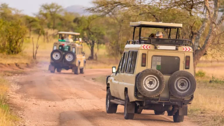 Understanding Four-Wheel Drive in African Safaris: An Insight from Rokah Car Rental Services Uganda